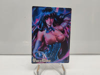 Stocking Waifu Cards Sexy Look Holographic